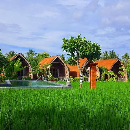 Hotel Umma Bali Menjangan Retreat Banyuwedang Exterior foto