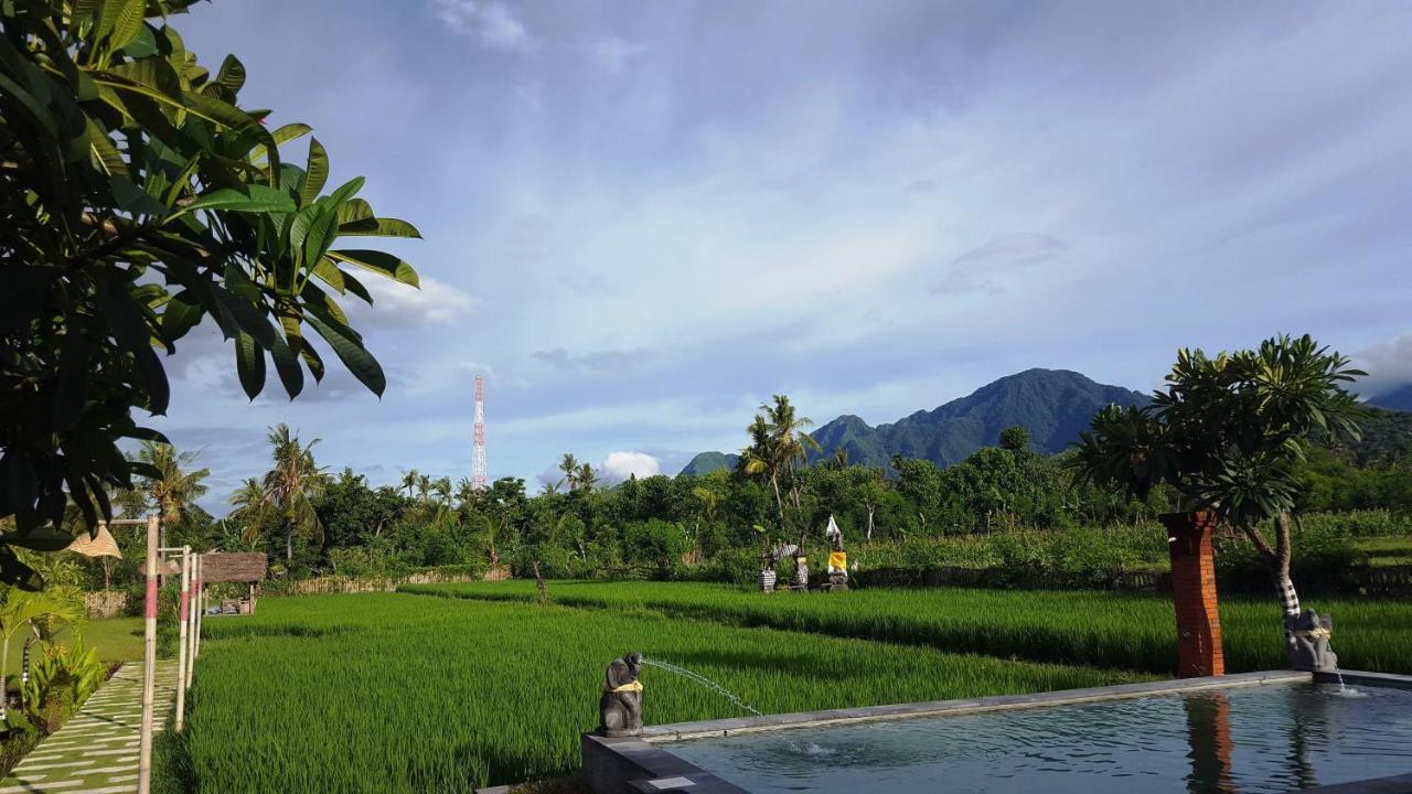 Hotel Umma Bali Menjangan Retreat Banyuwedang Exterior foto