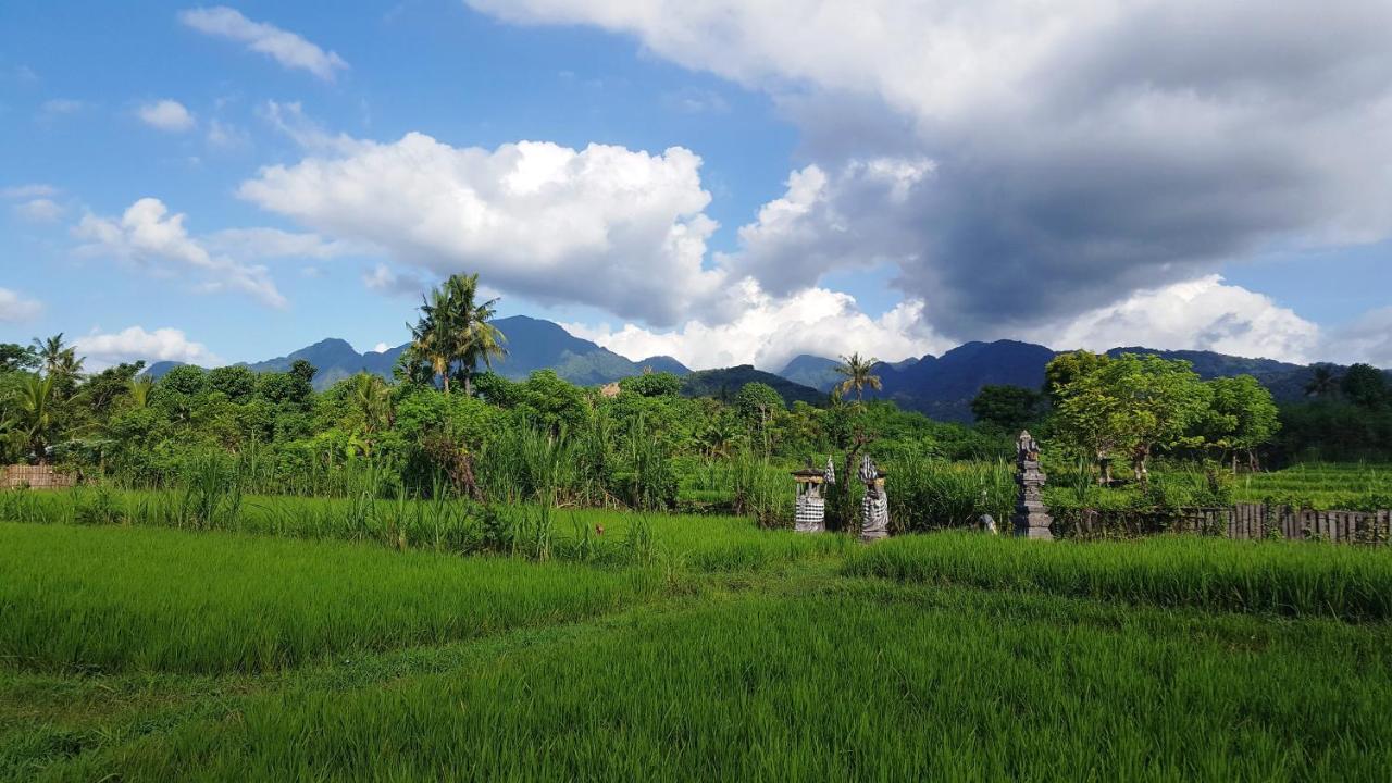 Hotel Umma Bali Menjangan Retreat Banyuwedang Exterior foto
