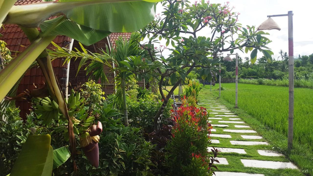 Hotel Umma Bali Menjangan Retreat Banyuwedang Exterior foto