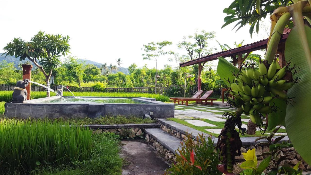 Hotel Umma Bali Menjangan Retreat Banyuwedang Exterior foto