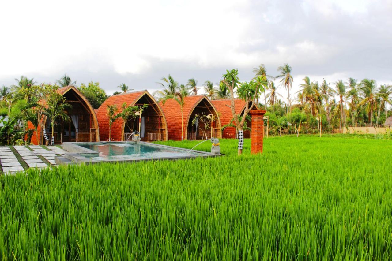 Hotel Umma Bali Menjangan Retreat Banyuwedang Exterior foto