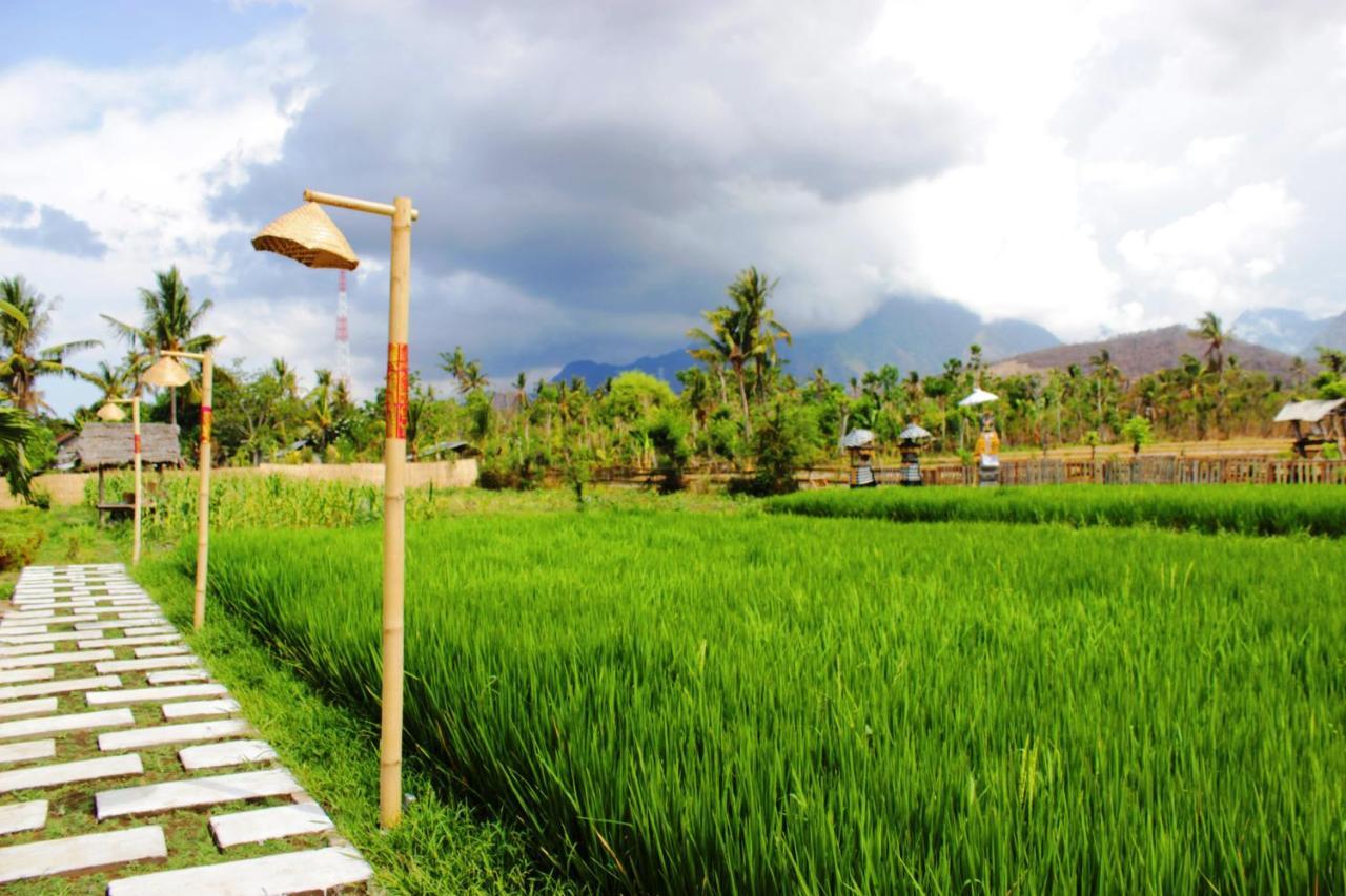 Hotel Umma Bali Menjangan Retreat Banyuwedang Exterior foto