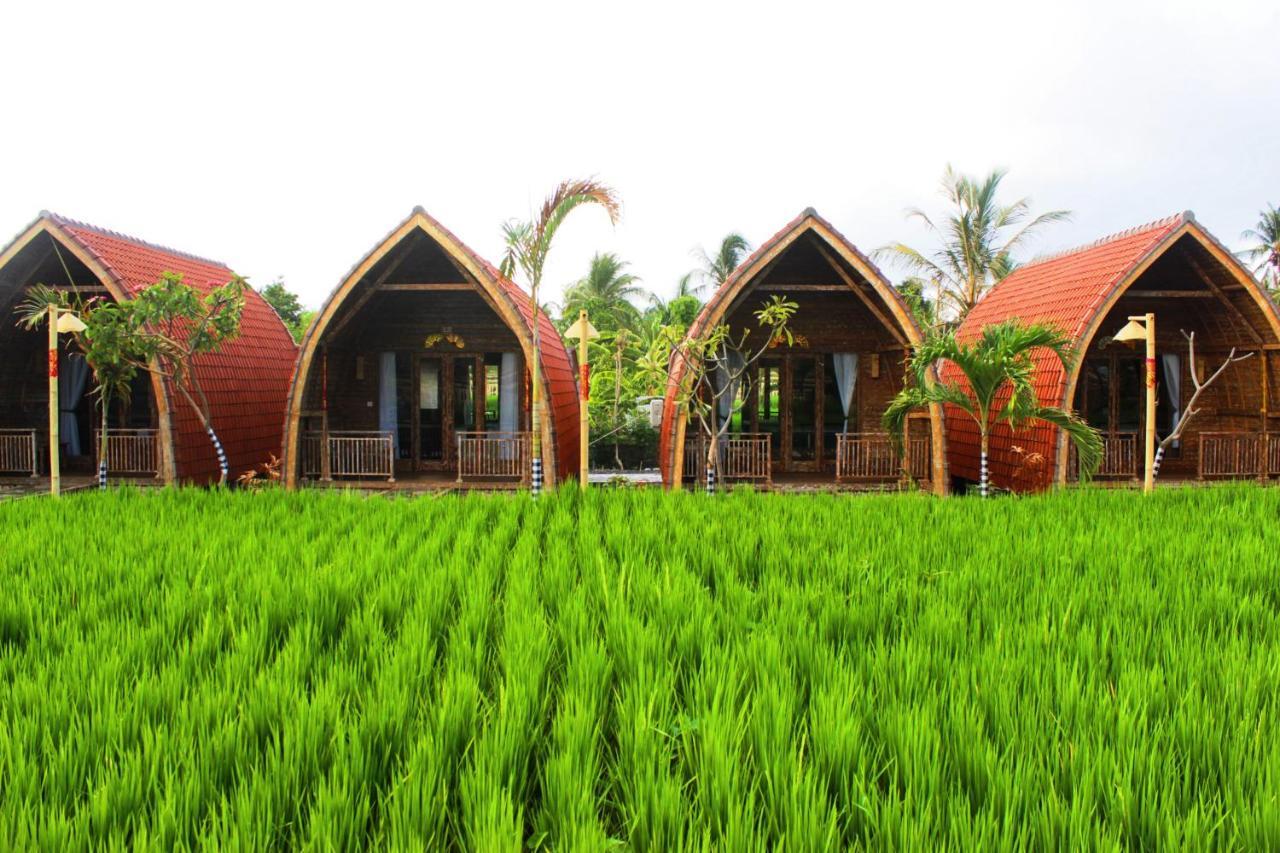 Hotel Umma Bali Menjangan Retreat Banyuwedang Exterior foto